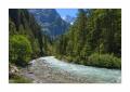 Rychenbach #38902 Rychenbach #38902