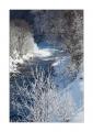 Am Fluss im Obergoms #27409