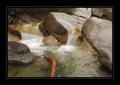 Binntal #9521 Binntal #9521