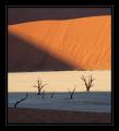 Dead Vlei #6157