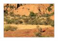 Spitzkoppe Fotograf #27519