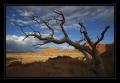 Spitzkoppe #6086