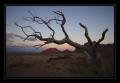 Spitzkoppe #6094