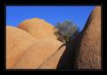 Spitzkoppe #6061