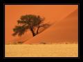 Sossusvlei #6309