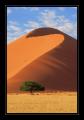 Sossusvlei #6326
