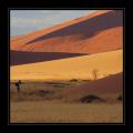 Sossusvlei #6330
