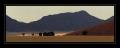 Sossusvlei #6350
