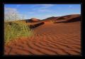 Sossusvlei #6364 Sossusvlei #6364