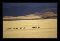 Sossusvlei #6195
