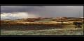 Wolwedans Pano #01
