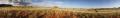 Wolwedans Pano #07
